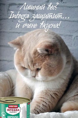 Корм для кошек белоруссия